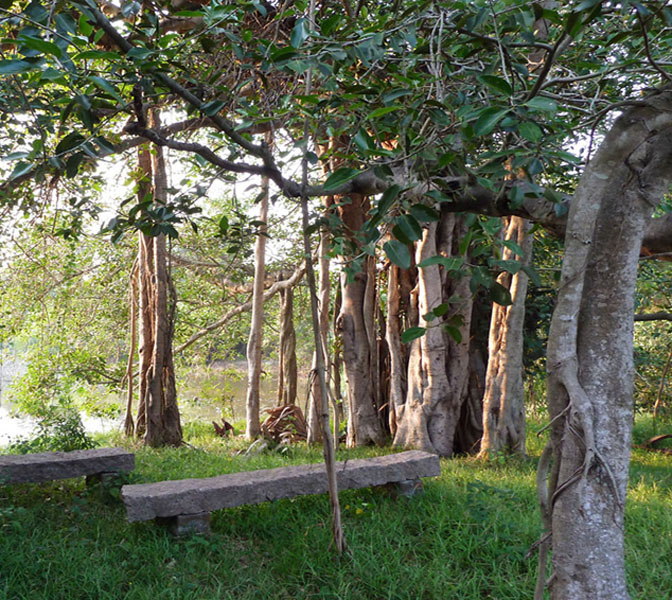 Institute of Management (project), Usteri Lake