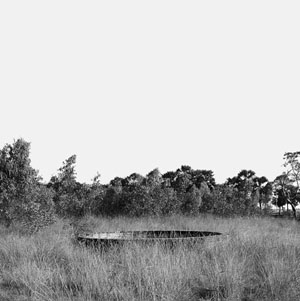 abandoned well in grasslands with a background of trees